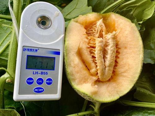 吃瓜合集免费,揭秘娱乐圈幕后故事,免费畅享娱乐盛宴 第2张 吃瓜合集免费,揭秘娱乐圈幕后故事,免费畅享娱乐盛宴 第2张